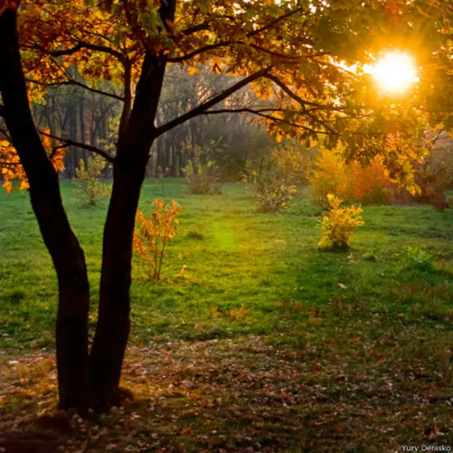краснодарский дендрарий