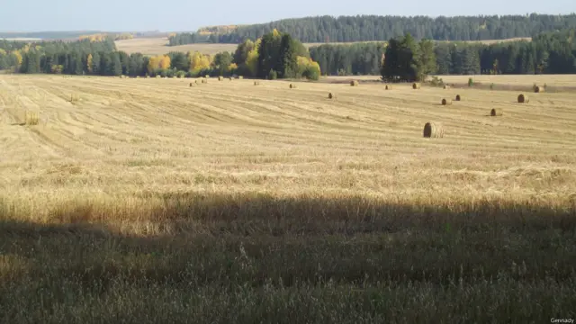 Геннадий напоминает этим снимком, что осень - это и поля, убранные от урожая