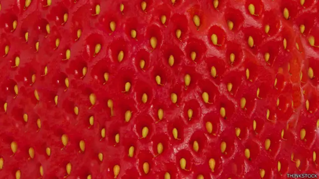 Fresas