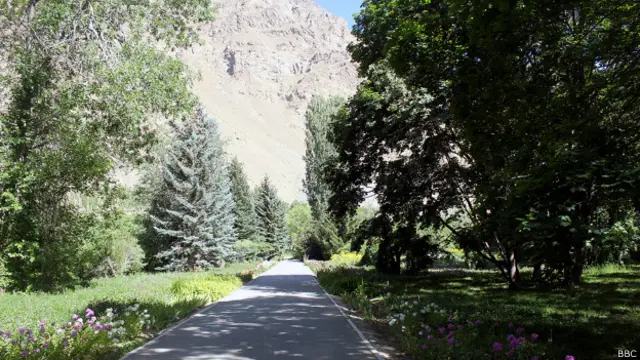 Памирский ботанический сад