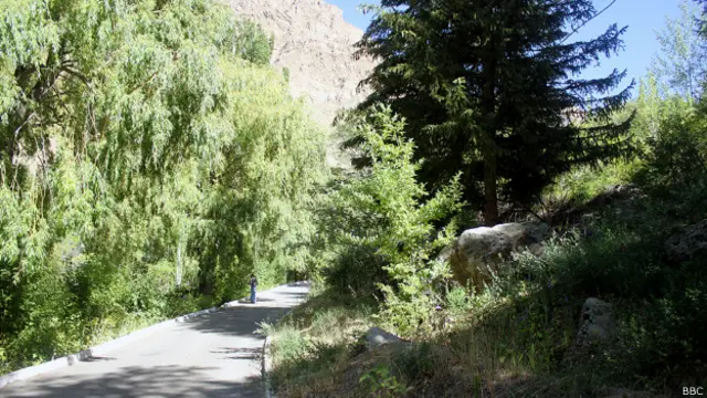 Памирский ботанический сад