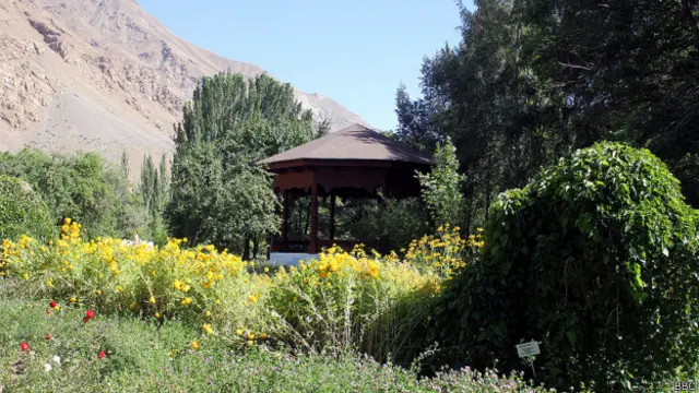 Памирский ботанический сад