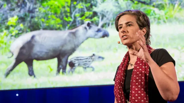 Patricia Medici (BBC Brasil)