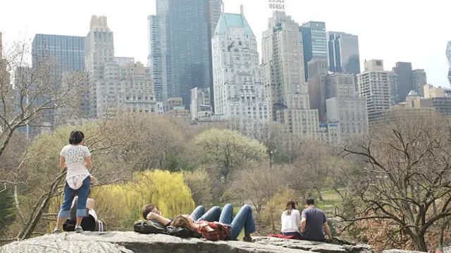 Sólo están catalogados entre el 8,5% y el 16,2% de los organismos que habitan el suelo del parque.