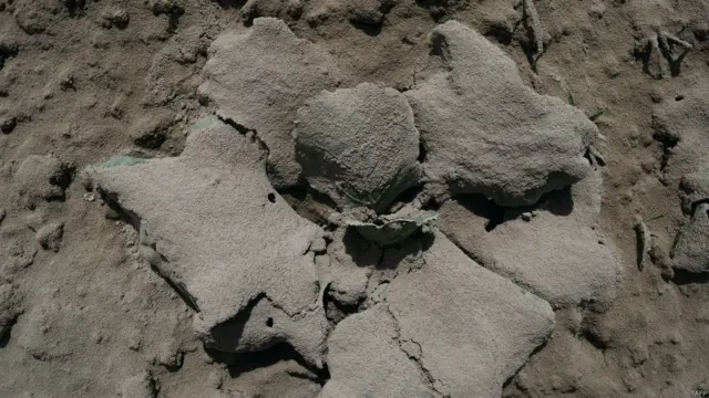 Sayur tertimbun Gunung Sinabung