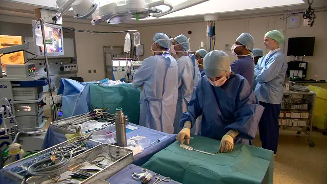 Je utakubali kupandikiziwa Figo ilivyokuzwa kwenye maabara ?