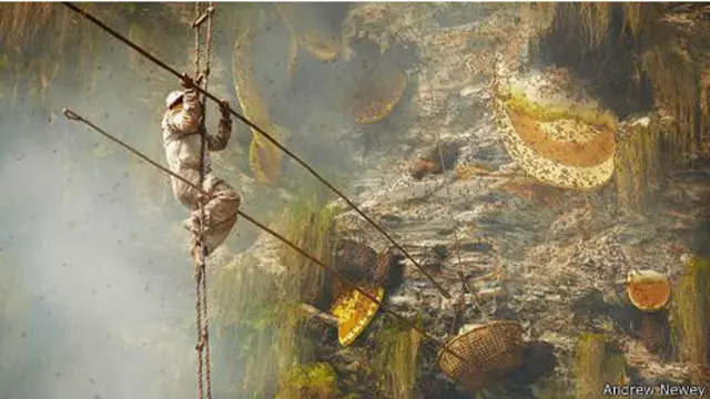 Catadores de mel são admirados por todos no Nepal