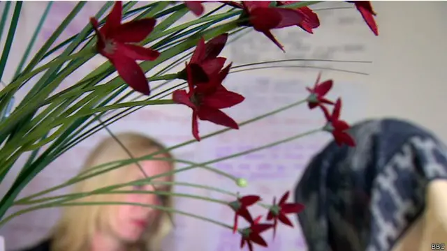 Муж бил Шазию регулярно