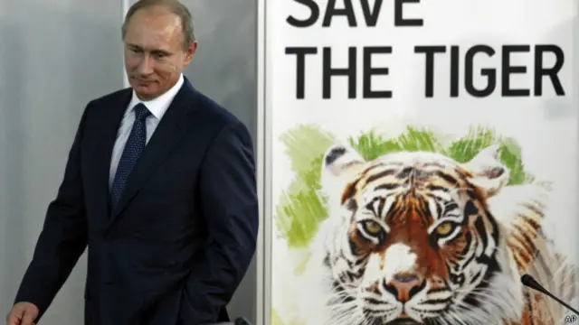 Vladimir Putin junto a imagen de tigre siberiano (foto de archivo)