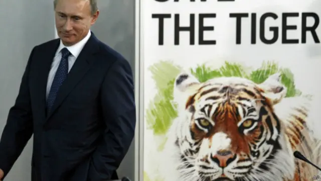Президент Росії взяв під власний патронат програму збереження амурських тигрів