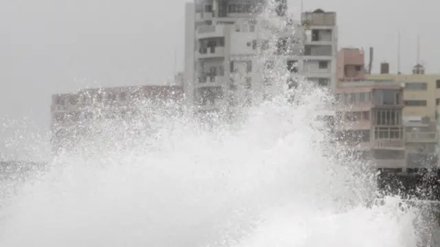 Topan Vongfong, yang berarti lebah dalam bahasa Kanton, memiliki kecepatan angin hingga 120 km/jam.