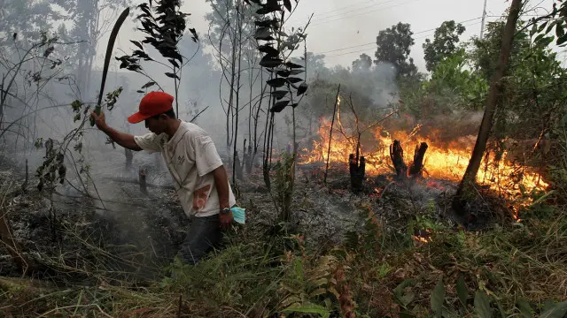 Provinsi Riau menetapkan siaga darurat kebakaran hutan dan lahan sejak 7 Maret lalu.