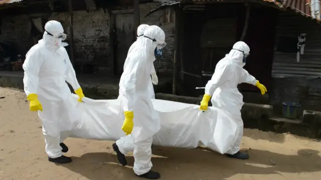 پاکستان میں ایبولا وائرس کے پھیلاؤ کو روکنے کے لئے ہنگامی اقدامات کی ہدایت۔