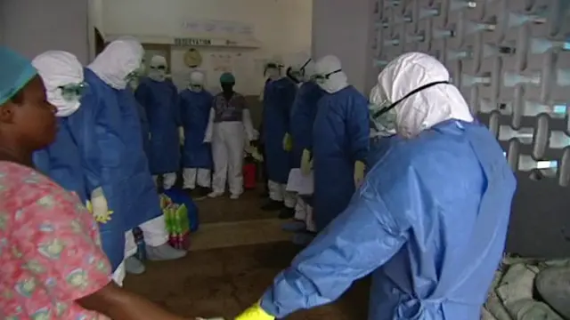 埃博拉病毒已经在西非造成超过4000人死亡。