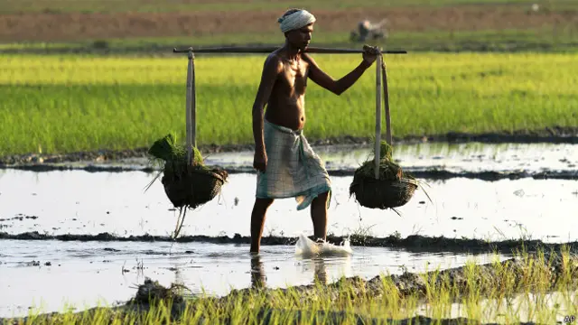 भारतीय किसान