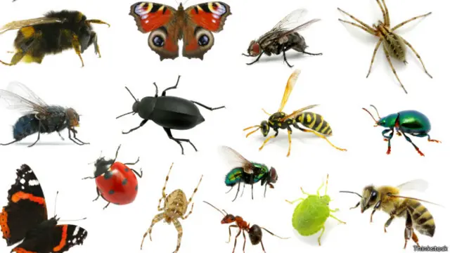 फ़ाइल फोटो