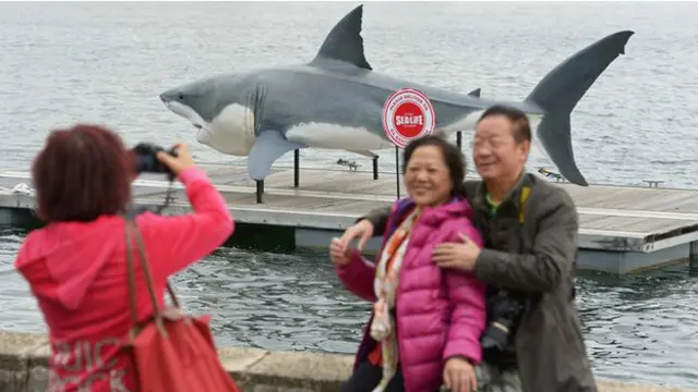 成功获得澳大利亚重大投资者签证的申请者90%来自中国。