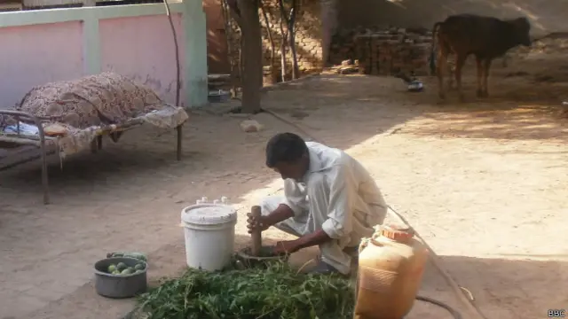 ڈاکٹر احسان الحق خصوصاً سبزیوں اور پھلوں کے لیے ہربل پیسٹی سائیڈز کو ہی محفوظ قرار دیتے ہیں