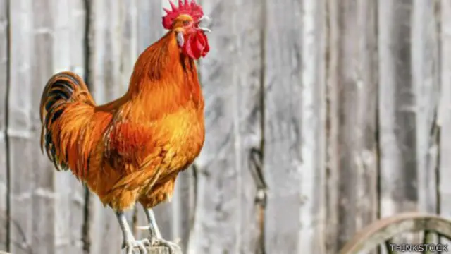 Segredo para acordar cedo bem está na noite anterior - não ir tarde para a cama