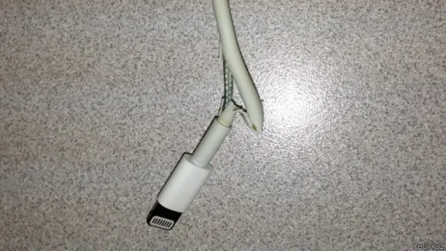 Imagen de cable Lightning de Apple dañado subido al sitio Macrumours por el usuario Tburk32 . 