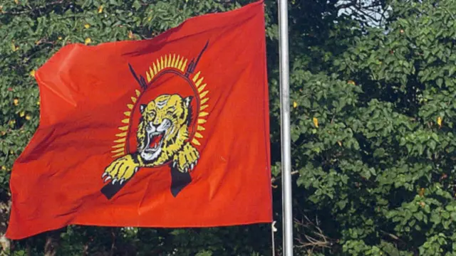 කොටි සංවිධානයේ සංකේතය නිසා කොටින් දිවියන් ලෙසින් විග්රහ කිරීමට ශ්රී ලංකාව පෙළඹුනාද?