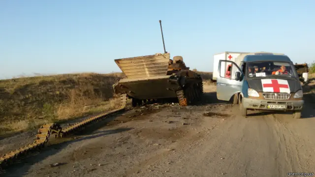 Чорний тюльпан