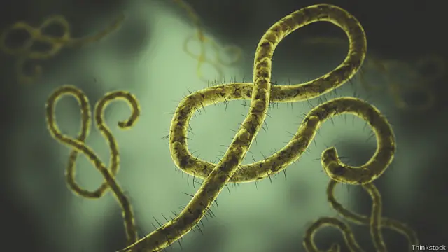 Virus del ébola