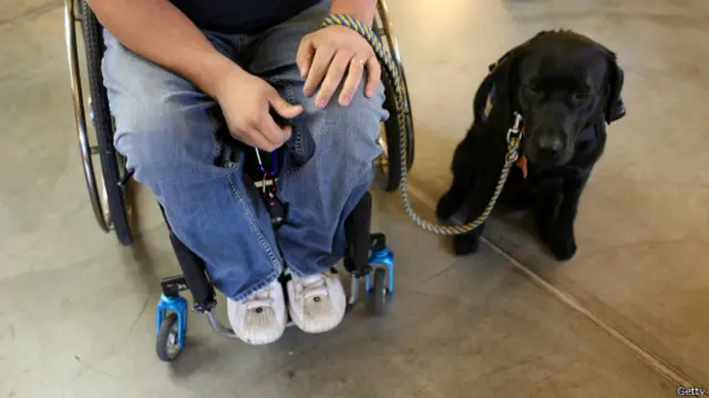 Мужчина в инвалидном кресле с собакой