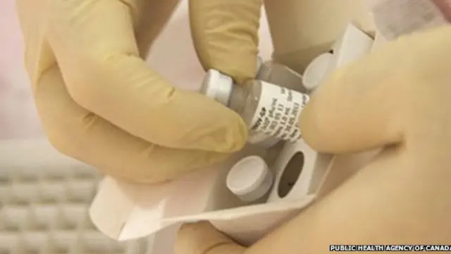 موثر بودن واکسن تولید کانادا در انسان هنوز معلوم نیست