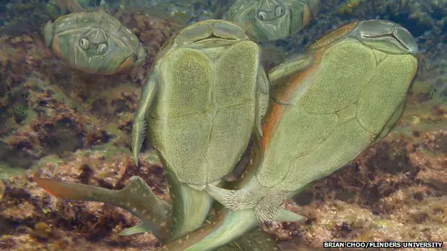 صورة رسمها أحد الفنانين توضح وضع التجاور الذي يتصور العلماء أن سمك ميكروبراكيس ديكي كان يتخذه عن ممارس الجنس.