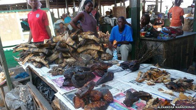 Entre la carne silvestre que se vende en Acra, se incluyen agutíes, murciélagos, pescado y antílope