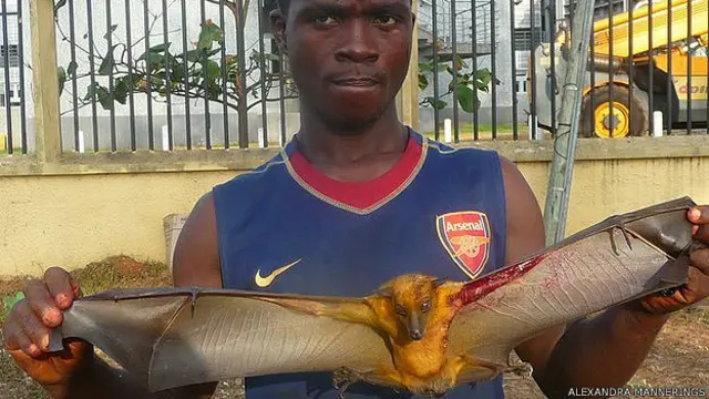 Cazador con murciélago herido