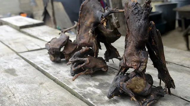 Carne de animales silvestres