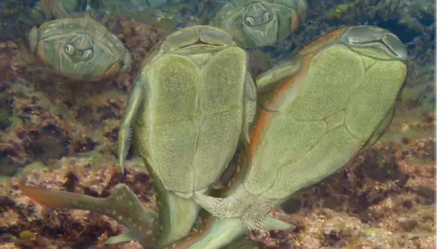 سائنس دانوں کا کہنا ہے کہ ڈکی نامی مچھلی ایک دوسرے کے پہلو کی طرف سے سیکس کیا کرتی تھیں