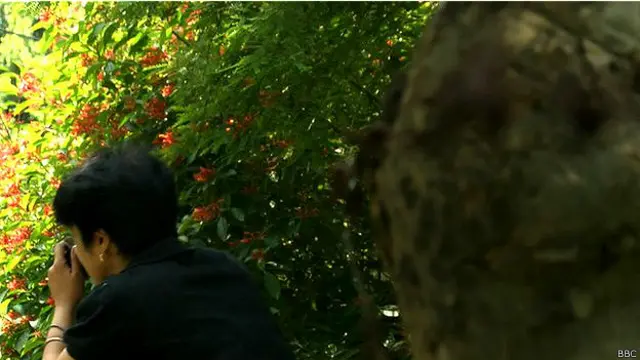 Брачный детектив за работой