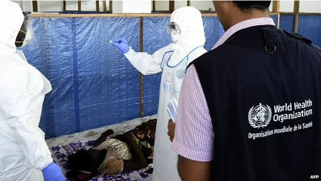 इबोला, विश्व स्वास्थ्य संगठन