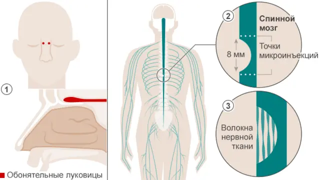 Инфографика