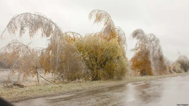 дорога во время "ледяного дождя"