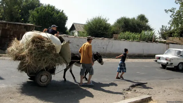 Имануэль Каплински прислал фотографию дороги в узбекском посёлке недалеко от Ташкента