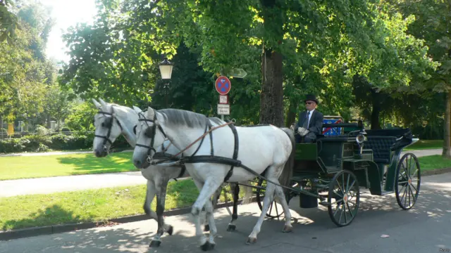 Две лошади в упряжке