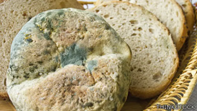 Pan con moho