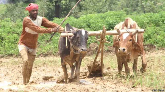 उत्तराखंड किसान