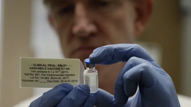 इबोला, विश्व स्वास्थ्य संगठन