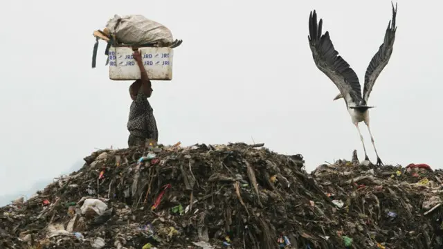 با این حال، همچنان این سوال مطرح است که چرا باید محیط‌زیست را حفاظت کرد؟ به این پرسش‌ از دو زاویه مختلف پاسخ داده شده است؛ نخست، نگرش اخلاقی. دوم نگرش توسعه پایدار