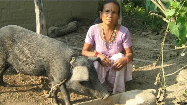 नेपाल में माइक्रो फाइनेंसिंग की वजह से महिलाओं का सशक्तिकरण