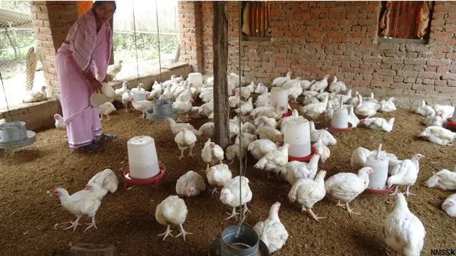 नेपाल में माइक्रो फाइनेंसिंग की वजह से महिलाओं का सशक्तिकरण