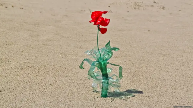 Foto: Rosa Ana Montesa