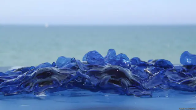 Foto: Rubén Lafuente