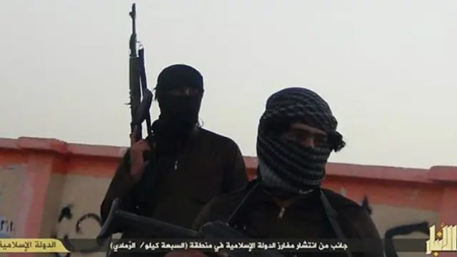 पेशेवर मीडिया आईएस 