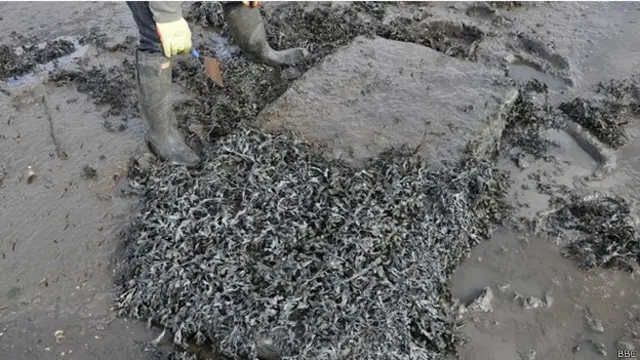 Надгробная плита